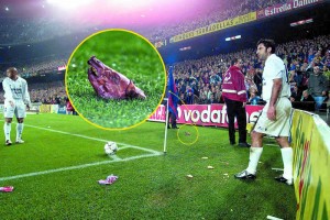 figo